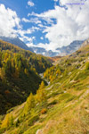 Image _MG_1988